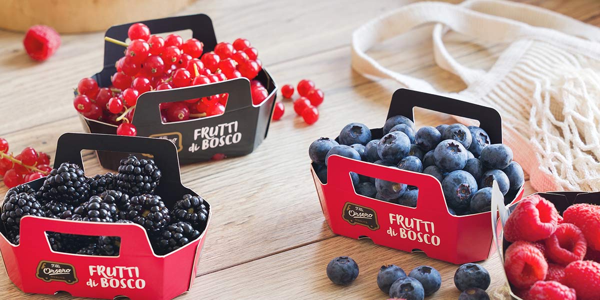 Frutti di bosco, ecco le novità firmate F.lli Orsero